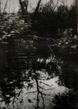 Sadness (USA) : To Despair of...